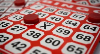 Alt hvad du har brug for at vide om Bingo Online